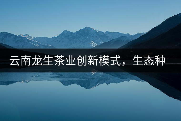 云南龍生茶業(yè)創(chuàng)新模式，生態(tài)種植