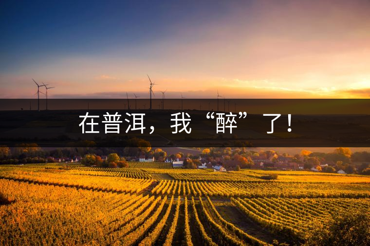 在普洱，我“醉”了！