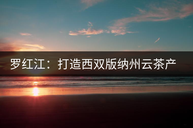 羅紅江:打造西雙版納州云茶產(chǎn)業(yè)新格局 羅紅江:打造西雙版納州云茶產(chǎn)業(yè)新格局