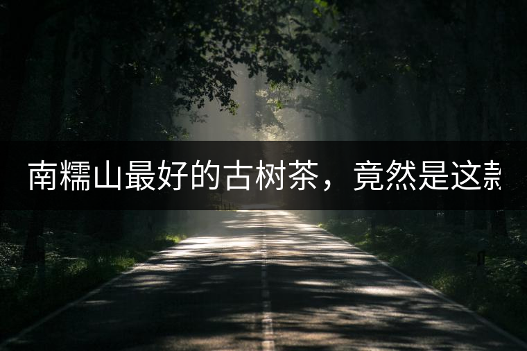 南糯山最好的古樹茶，竟然是這款！