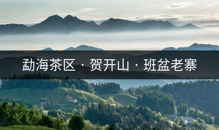 勐海茶區(qū) · 賀開山 · 班盆老寨