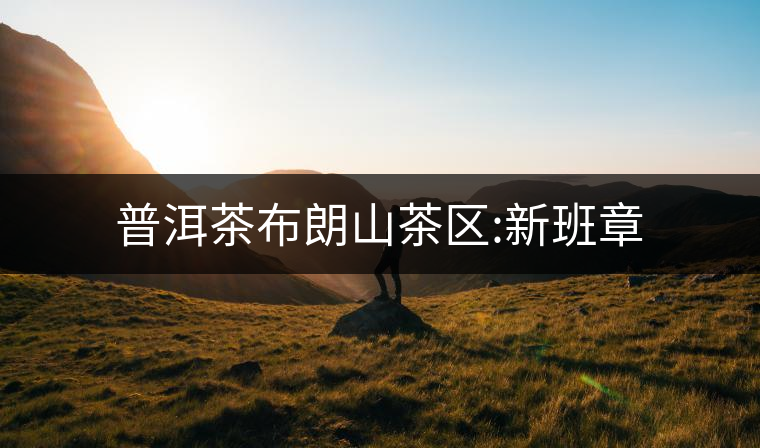 普洱茶布朗山茶區(qū):新班章 普洱茶布朗山茶區(qū):新班章