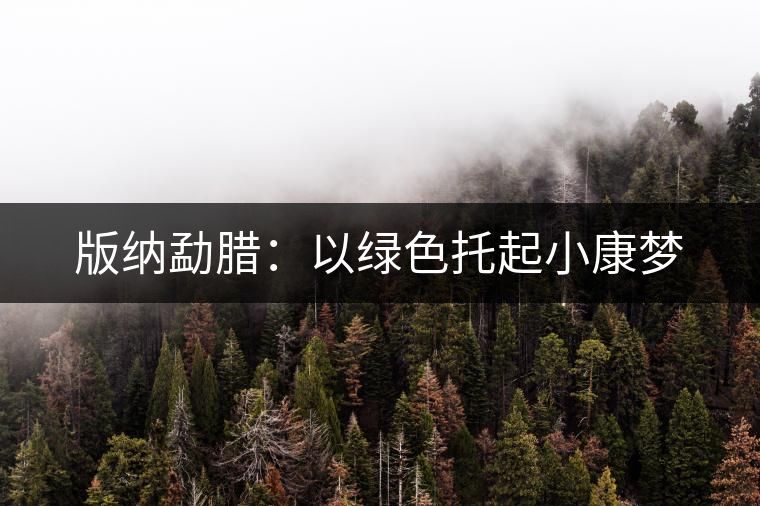 版納勐臘:以綠色托起小康夢(mèng) 版納勐臘:以綠色托起小康夢(mèng)