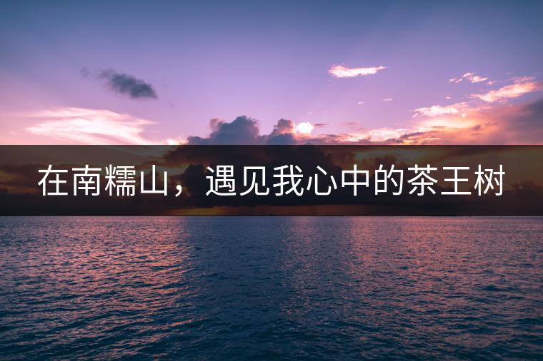 在南糯山，遇見(jiàn)我心中的茶王樹(shù)