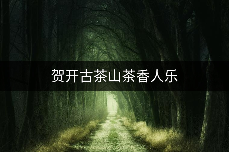 賀開(kāi)古茶山茶香人樂(lè) 賀開(kāi)古茶山茶香人樂(lè)