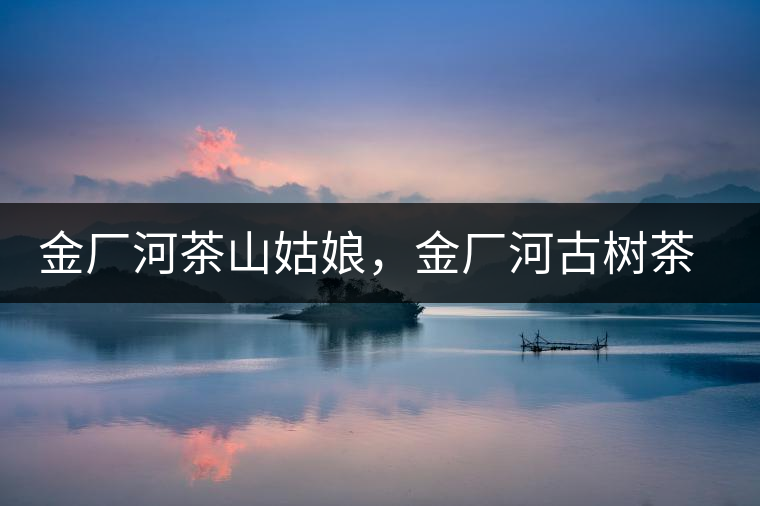金廠河茶山姑娘，金廠河古樹茶特點與價格