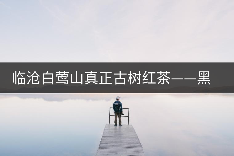 臨滄白鶯山真正古樹紅茶——黑美人