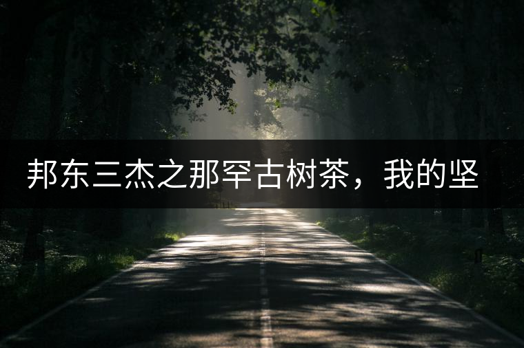 邦東三杰之那罕古樹茶，我的堅持