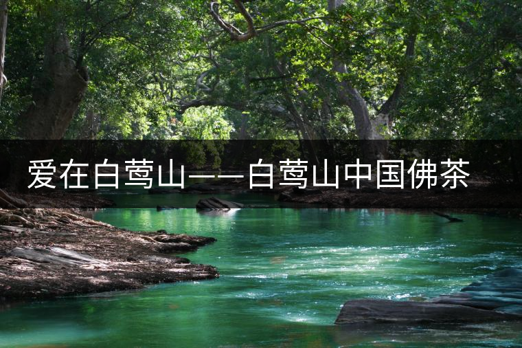 愛(ài)在白鶯山——白鶯山中國(guó)佛茶勝地 愛(ài)在白鶯山——白鶯山中國(guó)佛茶勝地