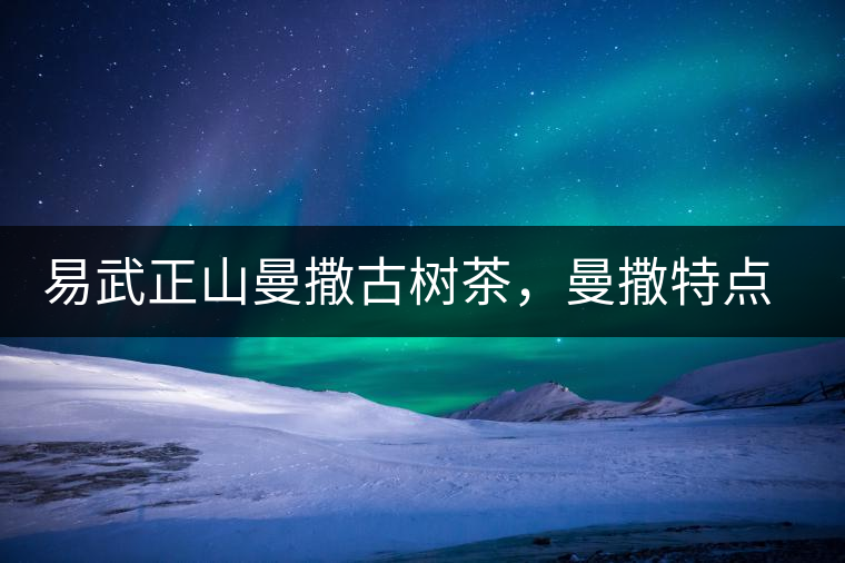 易武正山曼撒古樹茶，曼撒特點(diǎn)分享介紹