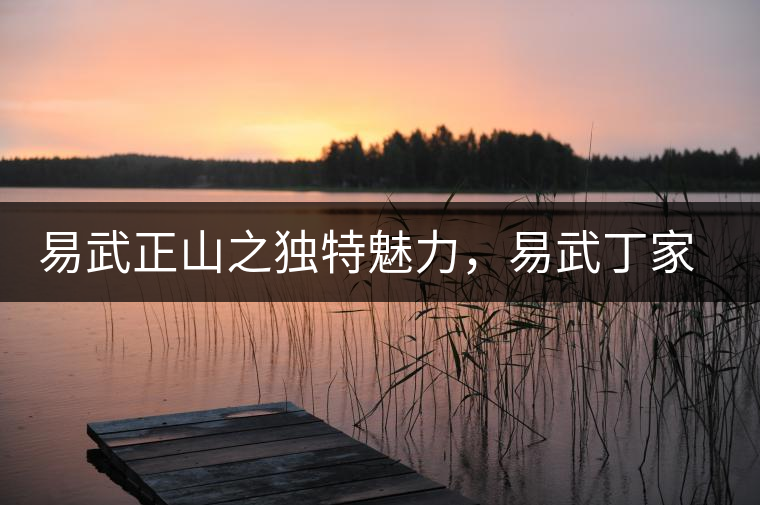 易武正山之獨(dú)特魅力，易武丁家寨介紹品鑒