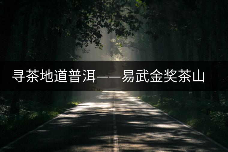 尋茶地道普洱——易武金獎(jiǎng)茶山曼秀 尋茶地道普洱——易武金獎(jiǎng)茶山曼秀