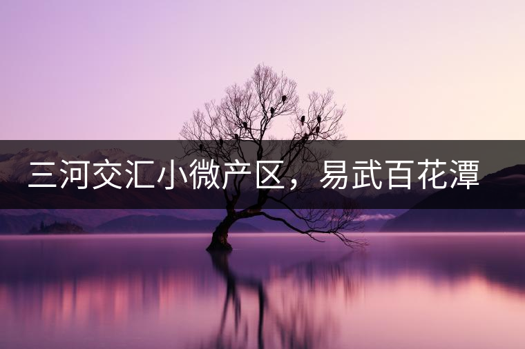 三河交匯小微產(chǎn)區(qū)，易武百花潭古茶園介紹