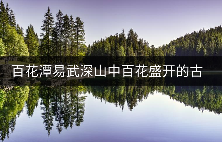百花潭易武深山中百花盛開(kāi)的古茶園 百花潭易武深山中百花盛開(kāi)的古茶園