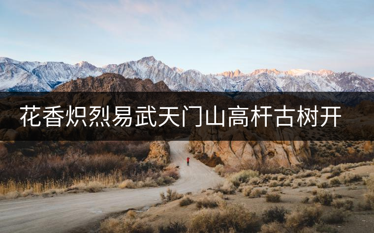 花香熾烈易武天門山高桿古樹(shù)開(kāi)湯鑒賞