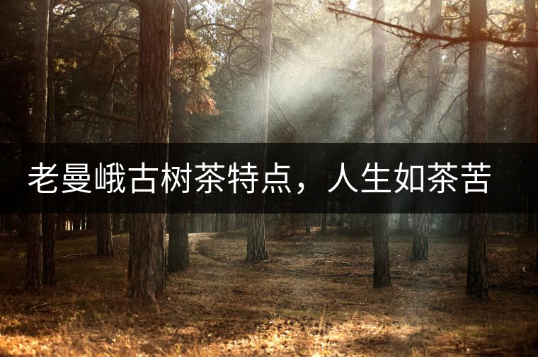 老曼峨古樹(shù)茶特點(diǎn)，人生如茶苦盡甘來(lái)