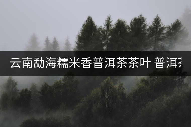 云南勐海糯米香普洱茶茶葉 普洱茶熟茶餅茶 熟茶餅禮盒100g 云南勐海糯米香普洱茶茶葉 普洱茶熟茶餅茶 熟茶餅禮盒100g