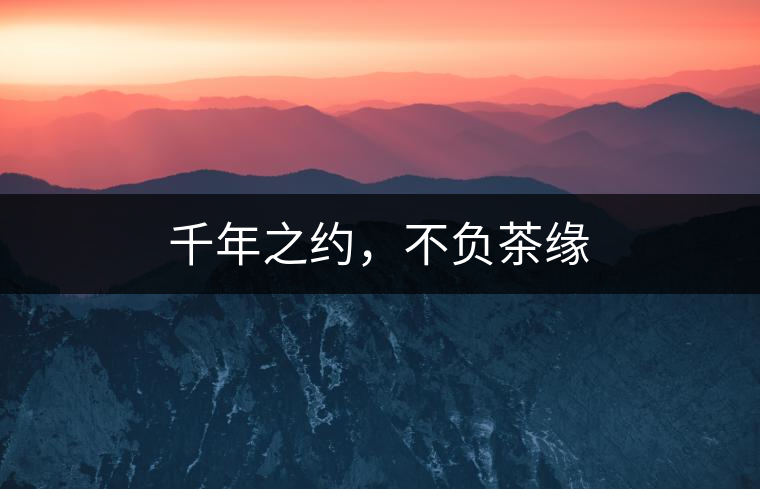 千年之約，不負茶緣