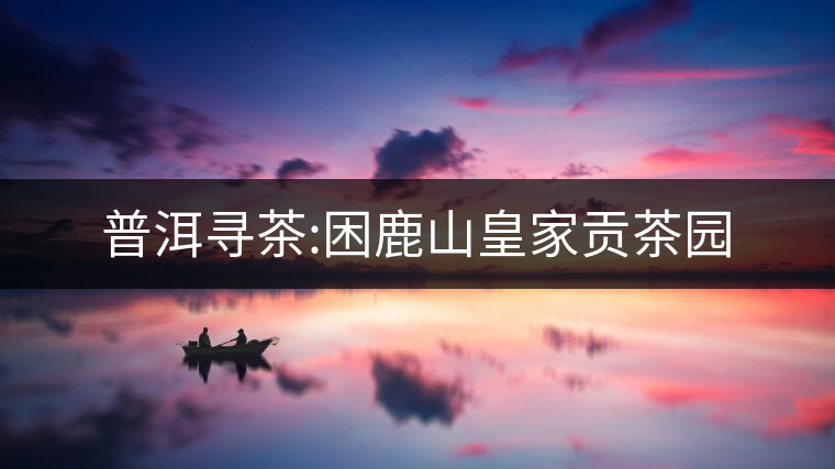 普洱尋茶:困鹿山皇家貢茶園 普洱尋茶:困鹿山皇家貢茶園