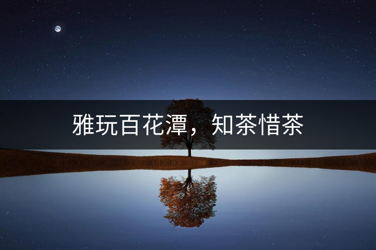 雅玩百花潭，知茶惜茶