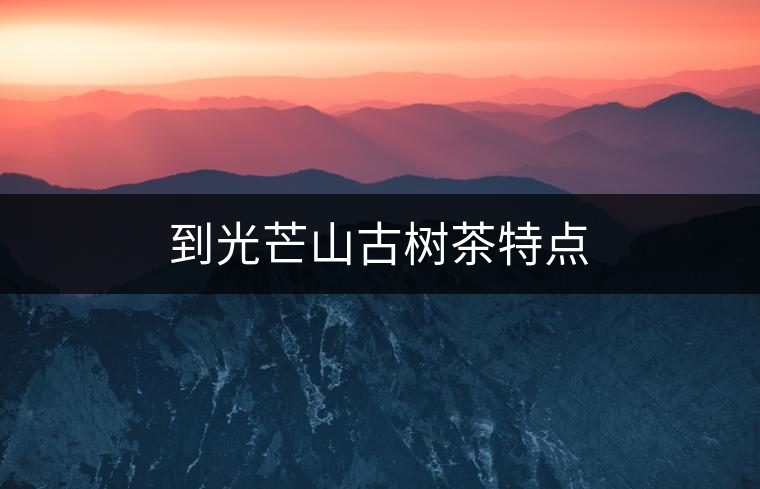 到光芒山古樹茶特點(diǎn) 到光芒山古樹茶特點(diǎn)