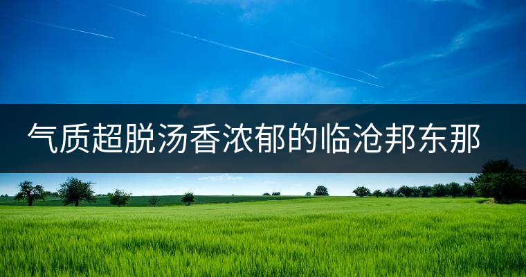氣質(zhì)超脫湯香濃郁的臨滄邦東那罕古樹茶開湯品鑒 氣質(zhì)超脫湯香濃郁的臨滄邦東那罕古樹茶開湯品鑒