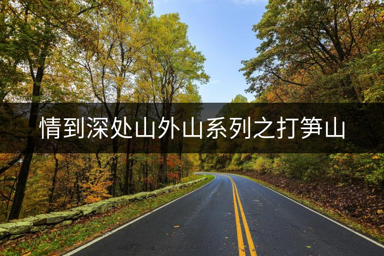情到深處山外山系列之打筍山 情到深處山外山系列之打筍山