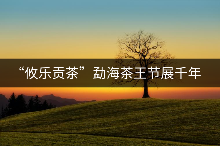 “攸樂貢茶”勐海茶王節(jié)展千年文化魅力 “攸樂貢茶”勐海茶王節(jié)展千年文化魅力