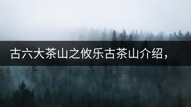 古六大茶山之攸樂古茶山介紹，攸樂古樹茶口感特點(diǎn)