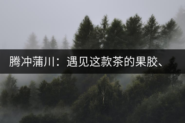 騰沖蒲川：遇見(jiàn)這款茶的果膠、甘甜