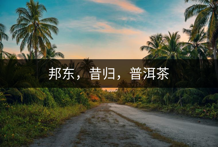 邦東，昔歸，普洱茶