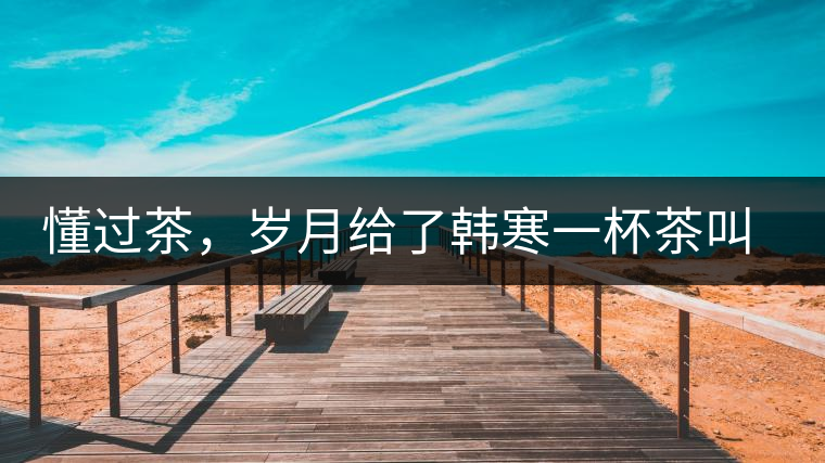 懂過茶，歲月給了韓寒一杯茶叫懂過