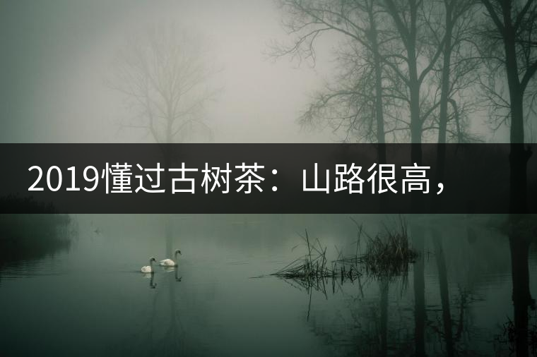 2019懂過古樹茶：山路很高，可仍然有執(zhí)著走向深山的人