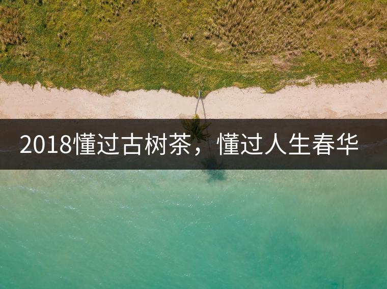 2018懂過古樹茶，懂過人生春華秋實！