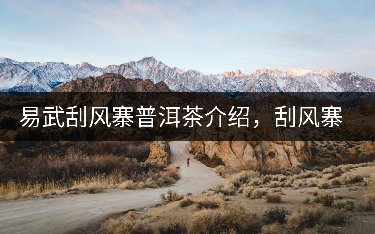 易武刮風(fēng)寨普洱茶介紹，刮風(fēng)寨古樹茶口感特點