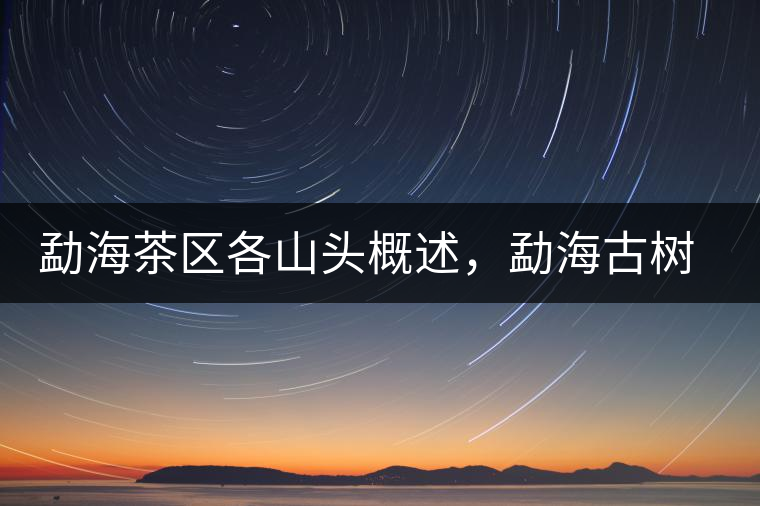 勐海茶區(qū)各山頭概述，勐海古樹茶口感特點(diǎn)