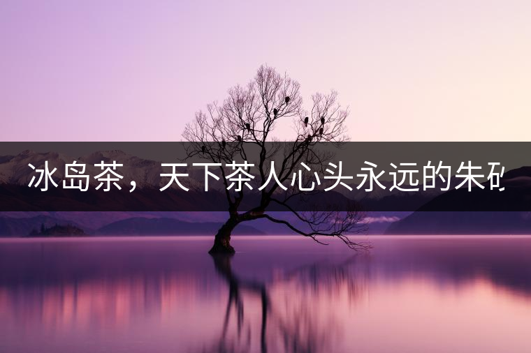 冰島茶，天下茶人心頭永遠的朱砂痣！