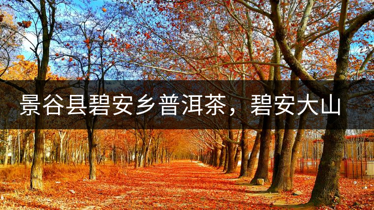 景谷縣碧安鄉(xiāng)普洱茶，碧安大山古樹(shù)茶口感特點(diǎn)