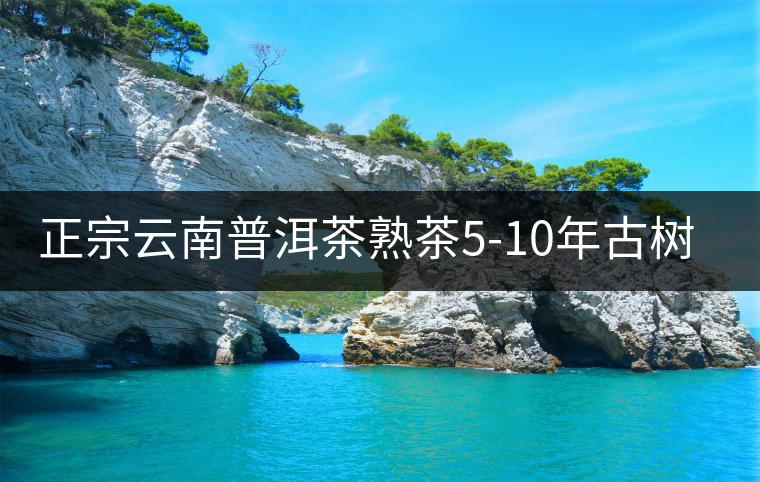 正宗云南普洱茶熟茶5-10年古樹茶餅濃香型陳年茶葉特級357g禮盒裝