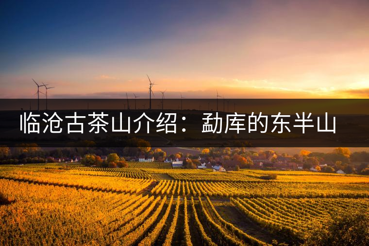 臨滄古茶山介紹：勐庫(kù)的東半山與西半山