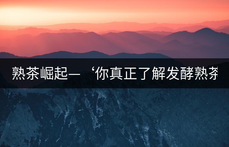 熟茶崛起—‘你真正了解發(fā)酵熟茶？’