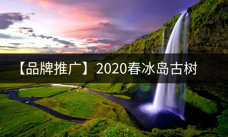 【品牌推廣】2020春冰島古樹普洱茶特級(jí)生茶餅茶葉多規(guī)格久樽正品 【品牌推廣】2020春冰島古樹普洱茶特級(jí)生茶餅茶葉多規(guī)格久樽正品