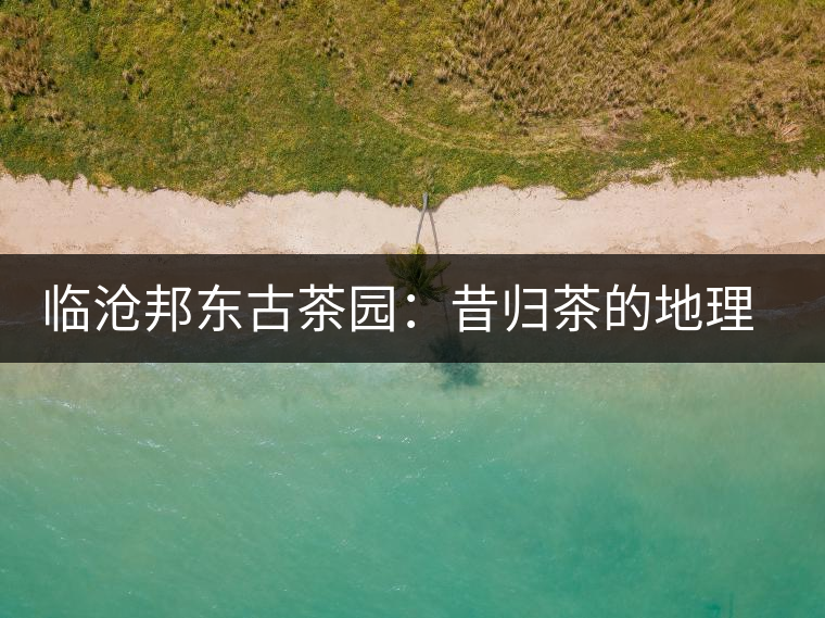 臨滄邦東古茶園：昔歸茶的地理位置及口感特點(diǎn)介紹