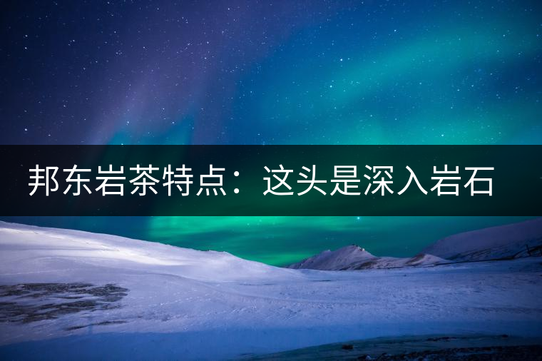 邦東巖茶特點(diǎn)：這頭是深入巖石的根，那頭是臨風(fēng)飄香的古韻