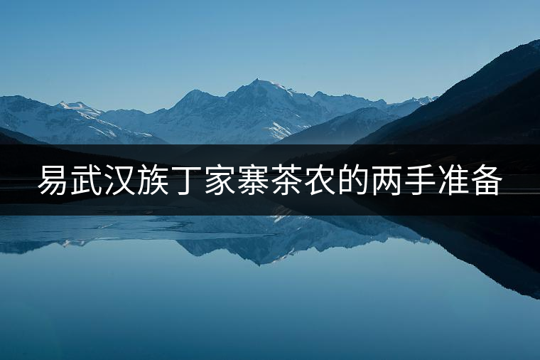 易武漢族丁家寨茶農(nóng)的兩手準(zhǔn)備 易武漢族丁家寨茶農(nóng)的兩手準(zhǔn)備