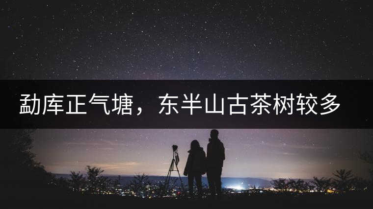 勐庫正氣塘，東半山古茶樹較多的寨子