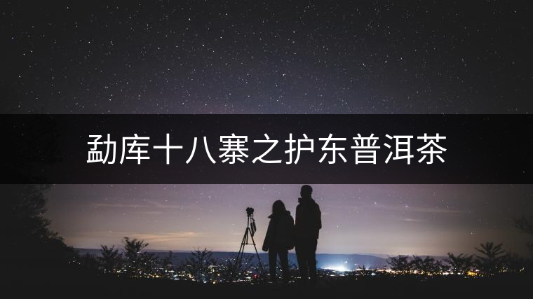 勐庫十八寨之護東普洱茶 勐庫十八寨之護東普洱茶