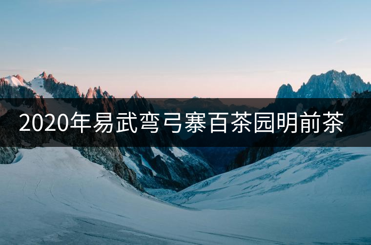 2020年易武彎弓寨百茶園明前茶山行 2020年易武彎弓寨百茶園明前茶山行