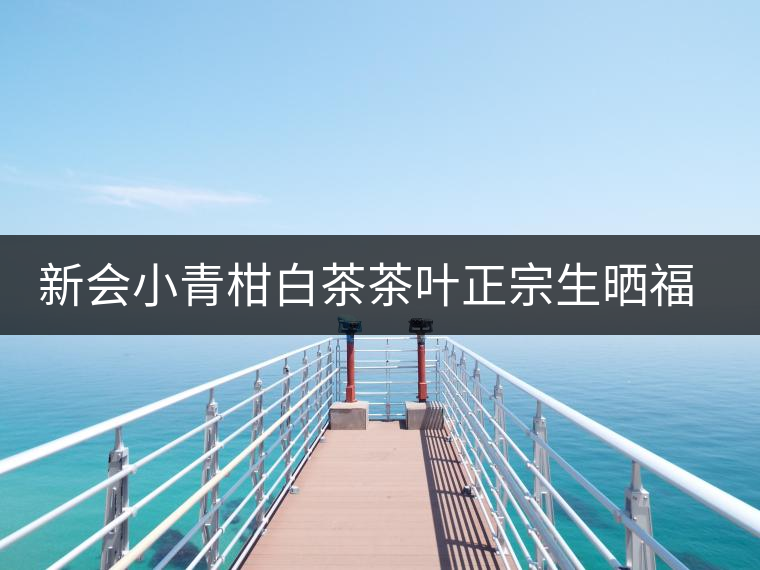 新會小青柑白茶茶葉正宗生曬福鼎貢眉龍珠老白茶君宜散裝罐裝 新會小青柑白茶茶葉正宗生曬福鼎貢眉龍珠老白茶君宜散裝罐裝