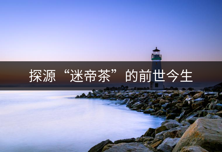 探源“迷帝茶”的前世今生 探源“迷帝茶”的前世今生